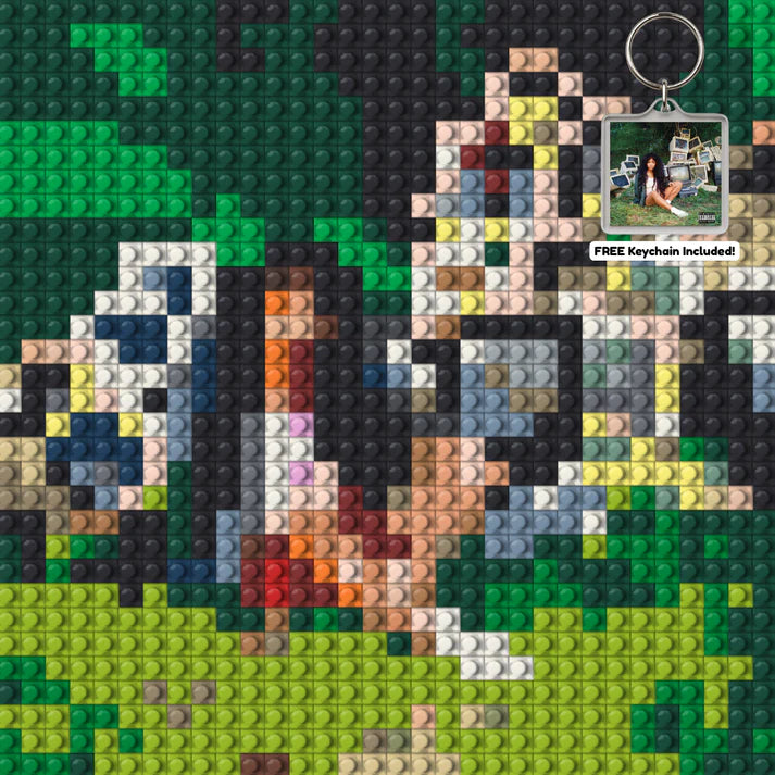 Brick albums